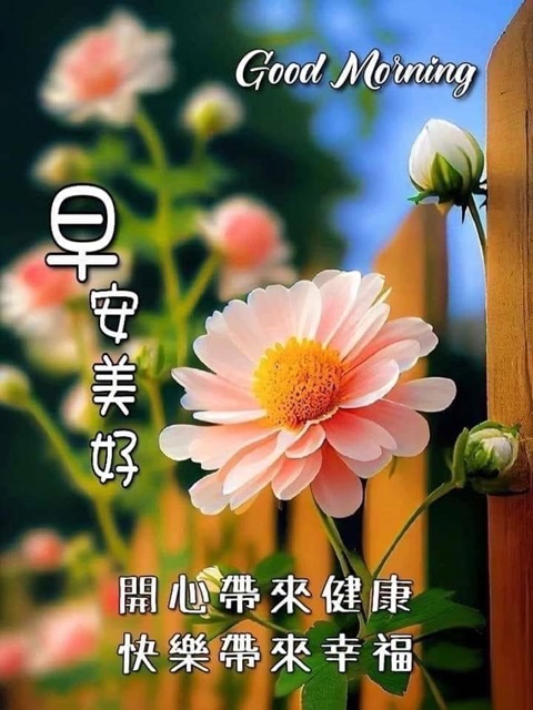 按我可連結至更清楚的圖片